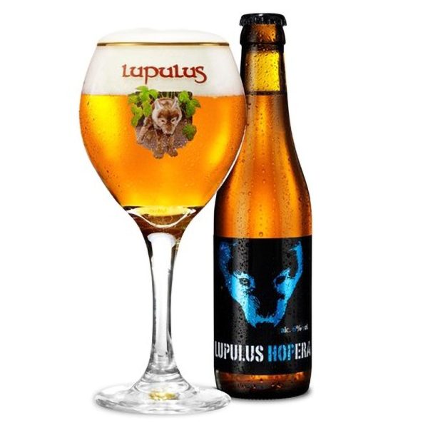 Bia Lupulus Hopera – Bỉ mang thương hiệu Lupulus