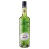 Giffard Green Melon