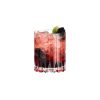 Ly Pha Lê RIEDEL Bar Double Rocks