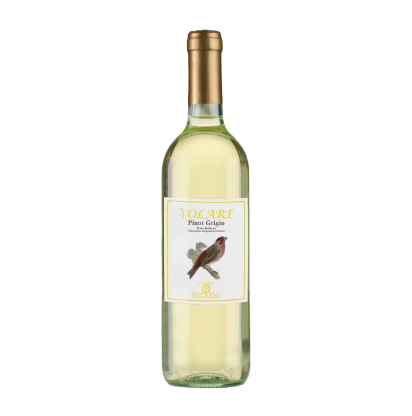 Rượu Vang Paolini Volare Pinot Grigio mang thương hiệu Cantine Paolini