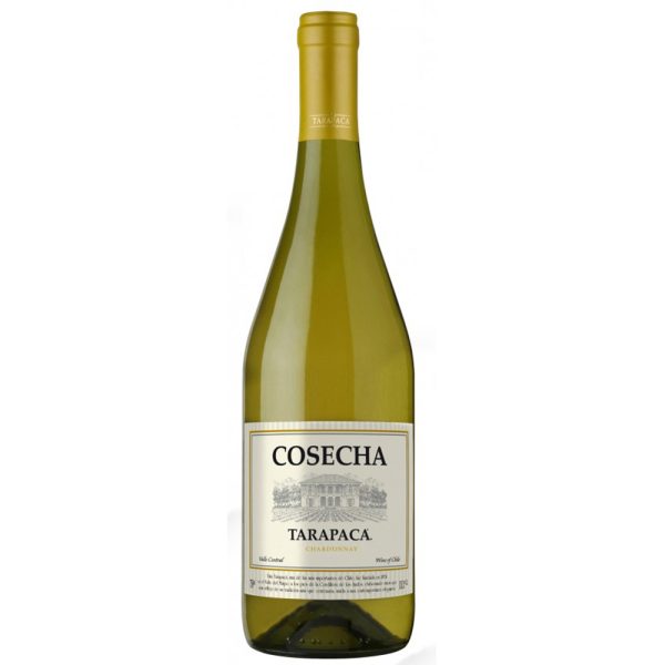 Rượu Vang Tarapaca Cosecha Chardonnay mang thương hiệu Tarapacá