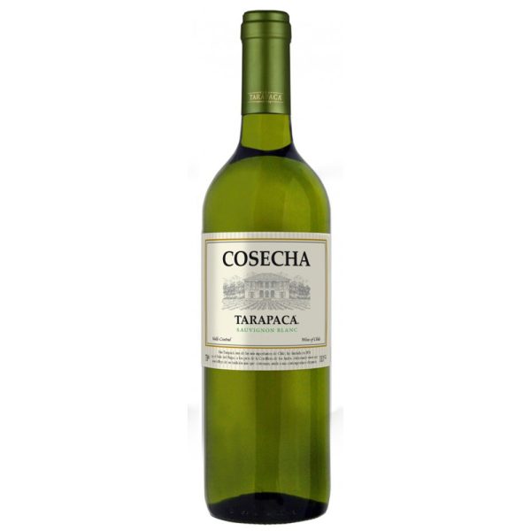 Rượu Vang Tarapaca Cosecha Sauvignon Blanc mang thương hiệu Tarapacá